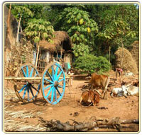Intricate India Rural Orissa 