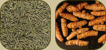 Cooking Spices Merchant Exporters