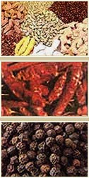 Spices Merchant Exporters