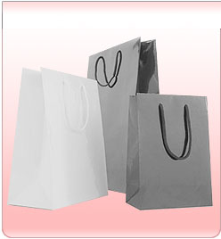 Paper Bags-Exporters, Manufacturers, Suppliers