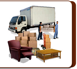 Blue Dort Packers Movers