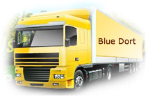 Blue Dort Packers Movers