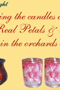 Candle Manufacturer, Candles Exporter