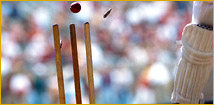 Cricket Match, M J International