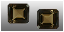 Bhaskar C Gems