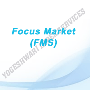 Focus Market (FMS)